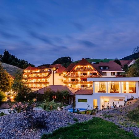 Hotel Ludinmühle Freiamt Exterior foto